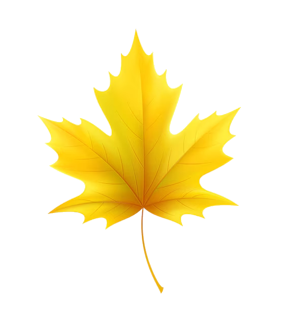 Fall Foliage Tours in NYC Area