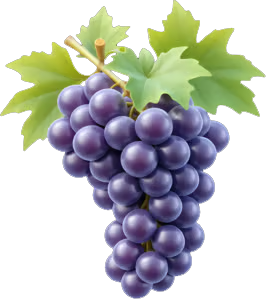 Wine Tasting Transportation Service in NYC Area