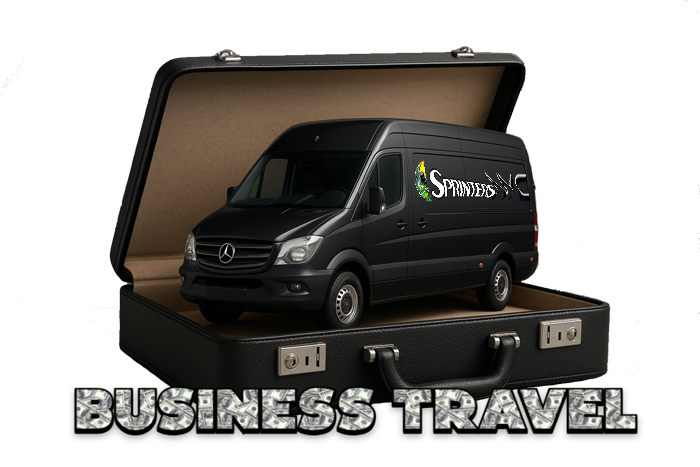 Sprinter for Business Travel
